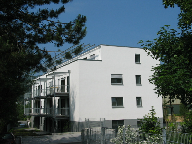 Neubau Niedernhausen Seitenansicht