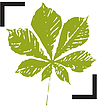 Logo Königsreuter - Büro für Landschaftsarchitektur